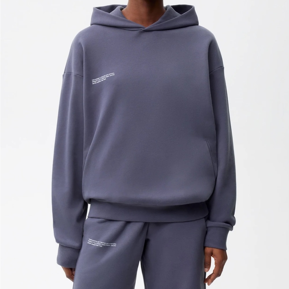 PANGAIA 365 Midweight Hoodie & Pants. Size XS. Slate. No flaws!